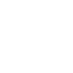Commitee members